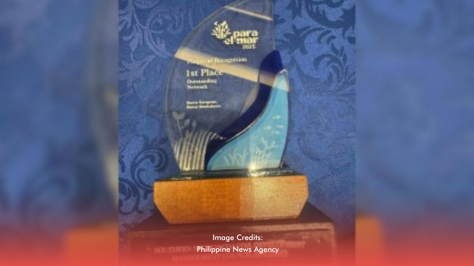 Southern Negros Alliance Bags Top Marine Award