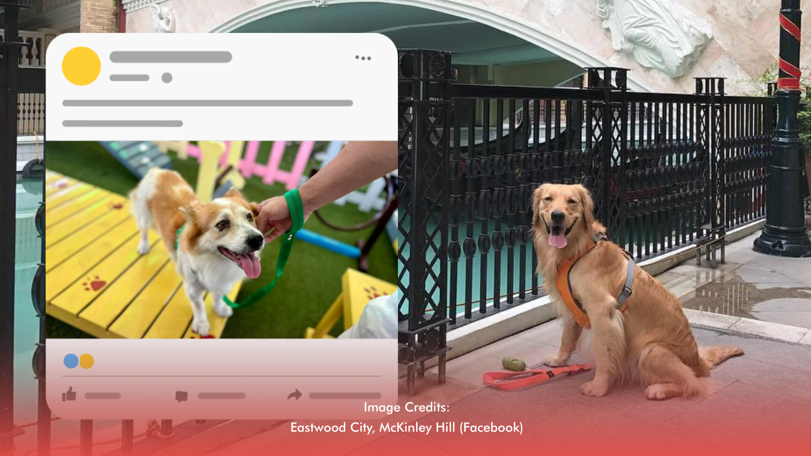 Strolls with Paws: Pet-Friendly Scenic Walks in Metro Manila