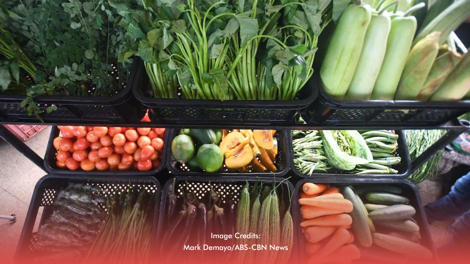 SWS Poll: Lower Food Prices Still Top Priority for Filipinos