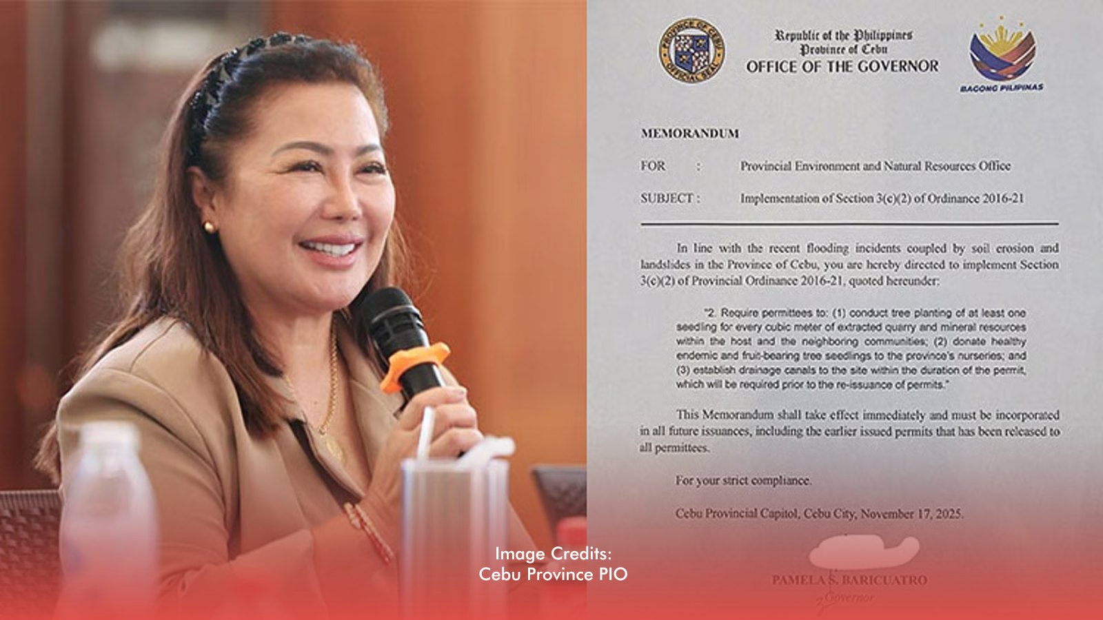 Cebu Implements Dormant Tree-Planting Ordinance For Quarry And Mining Operators