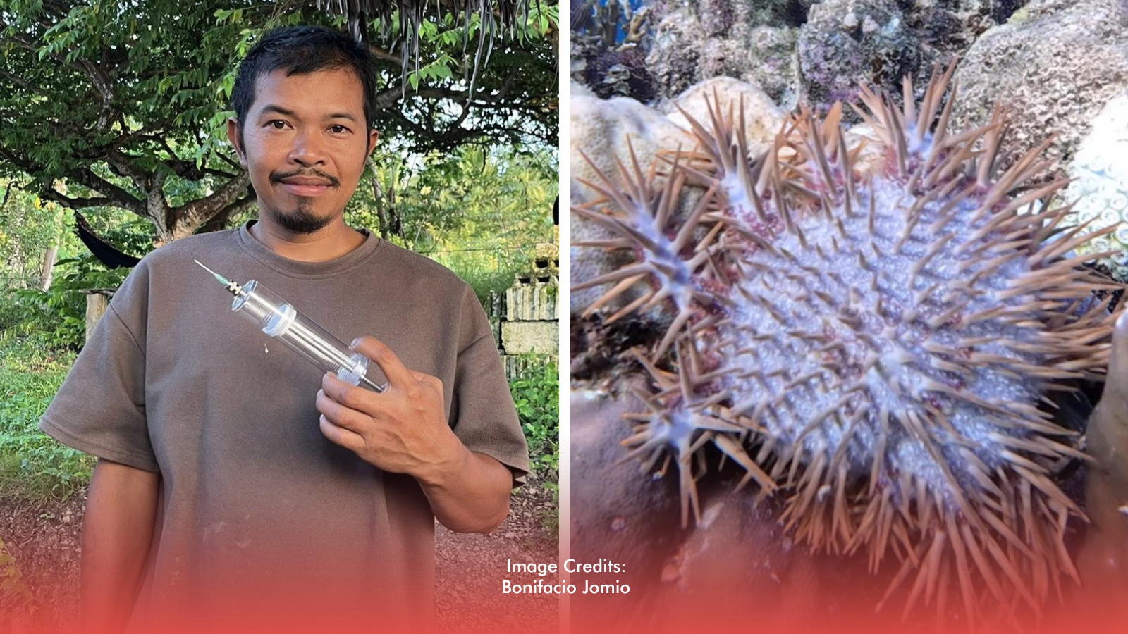 Cebu Vlogger Fights Crown-of-Thorns Outbreak In Badian With Coconut Vinegar