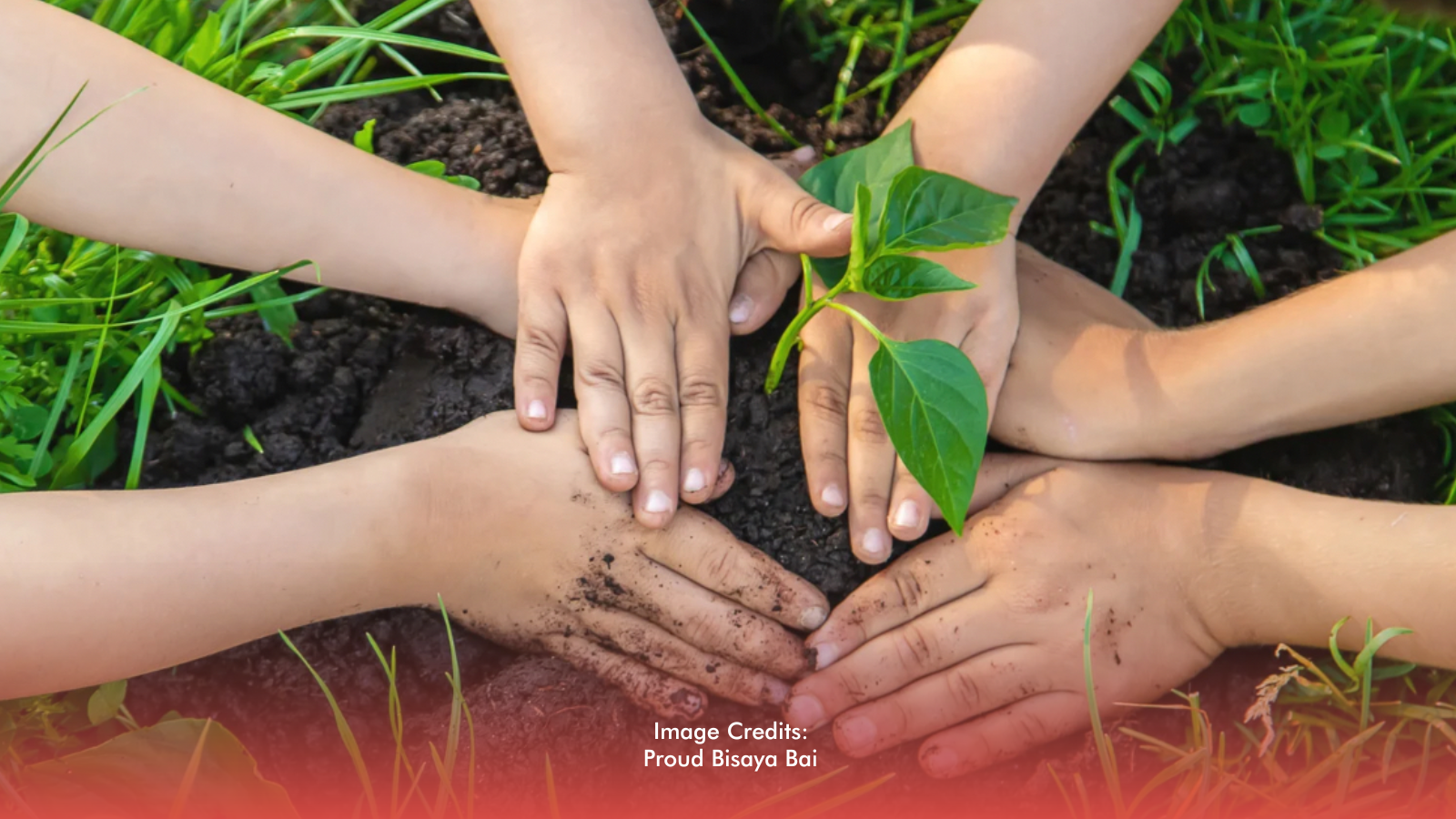 Greener Graduates: Mandaue Makes Tree Planting Part Of School Requirements