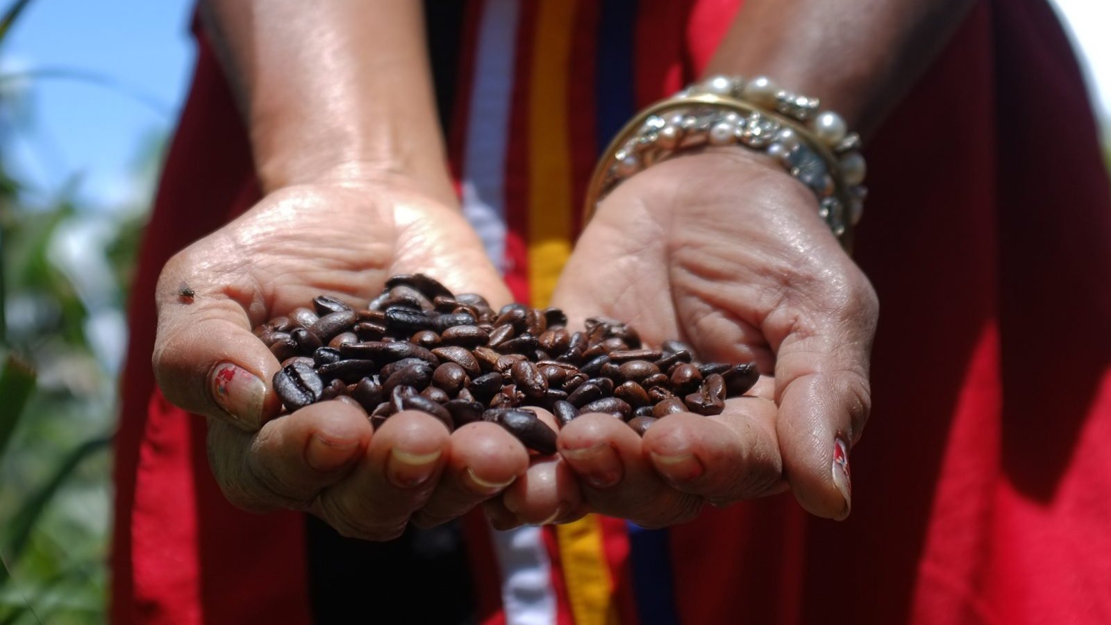 Bukidnon Sets Sights On Becoming PH Arabica Capital