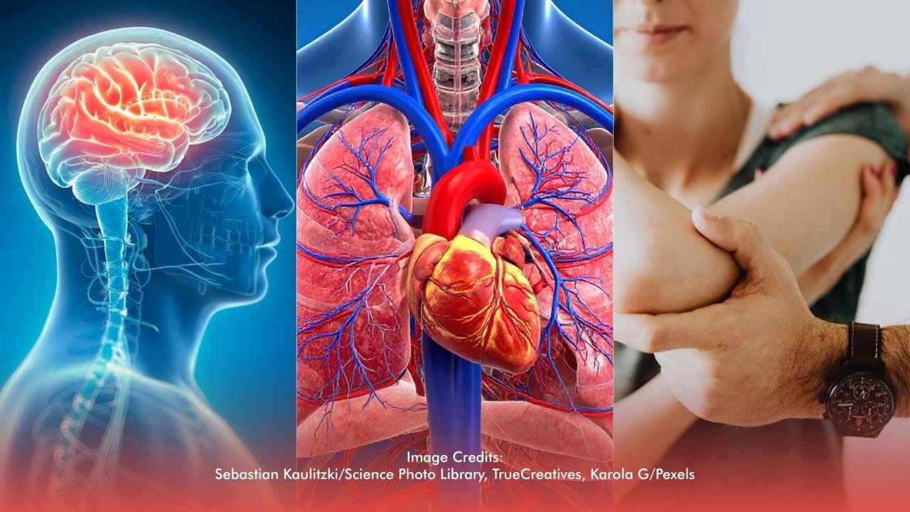 Protecting your health starts with choosing clean, certified, and responsibly sourced omega-3 supplements.