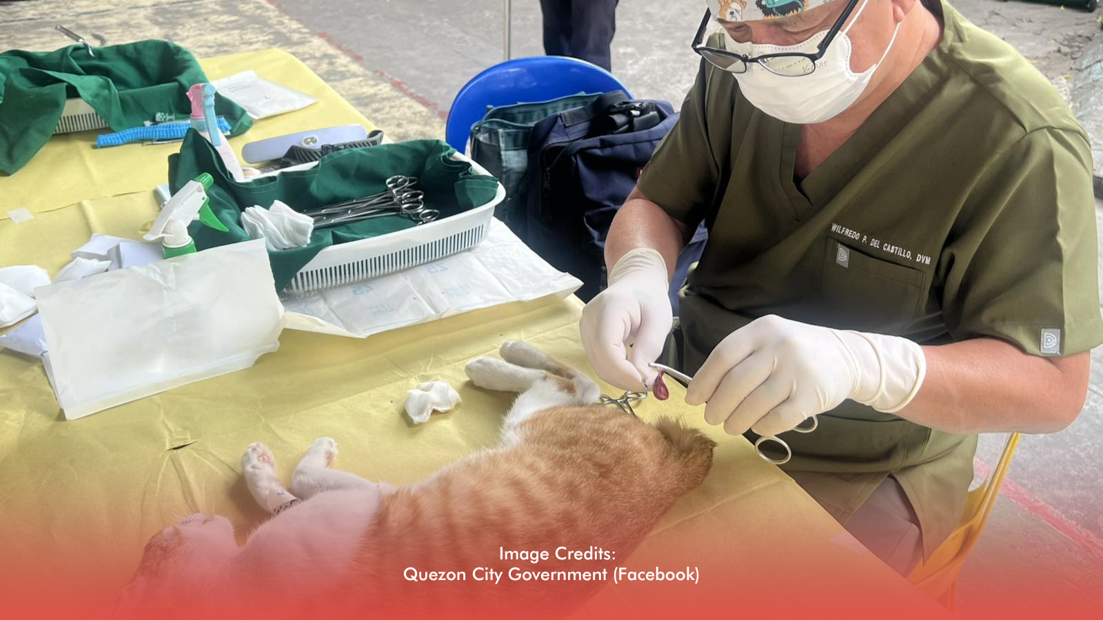 QC Raises The Bar In Rabies Control, Targets Zero Human Deaths By 2030