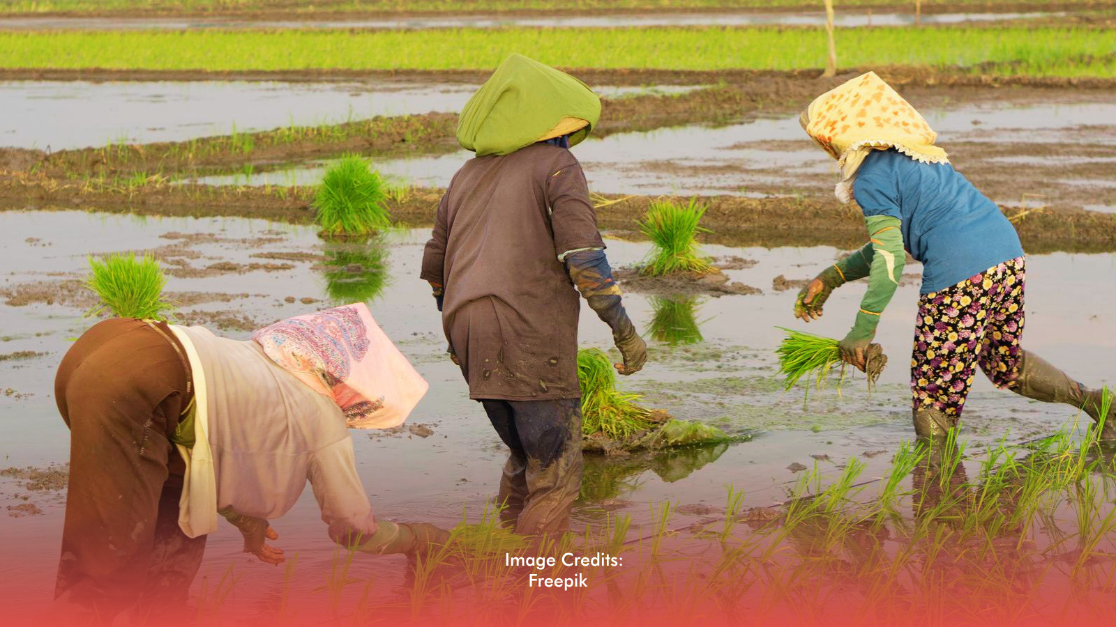 P604M Fuel Aid Set For Bicol Farmers, Fisherfolk Amid Economic Pressure