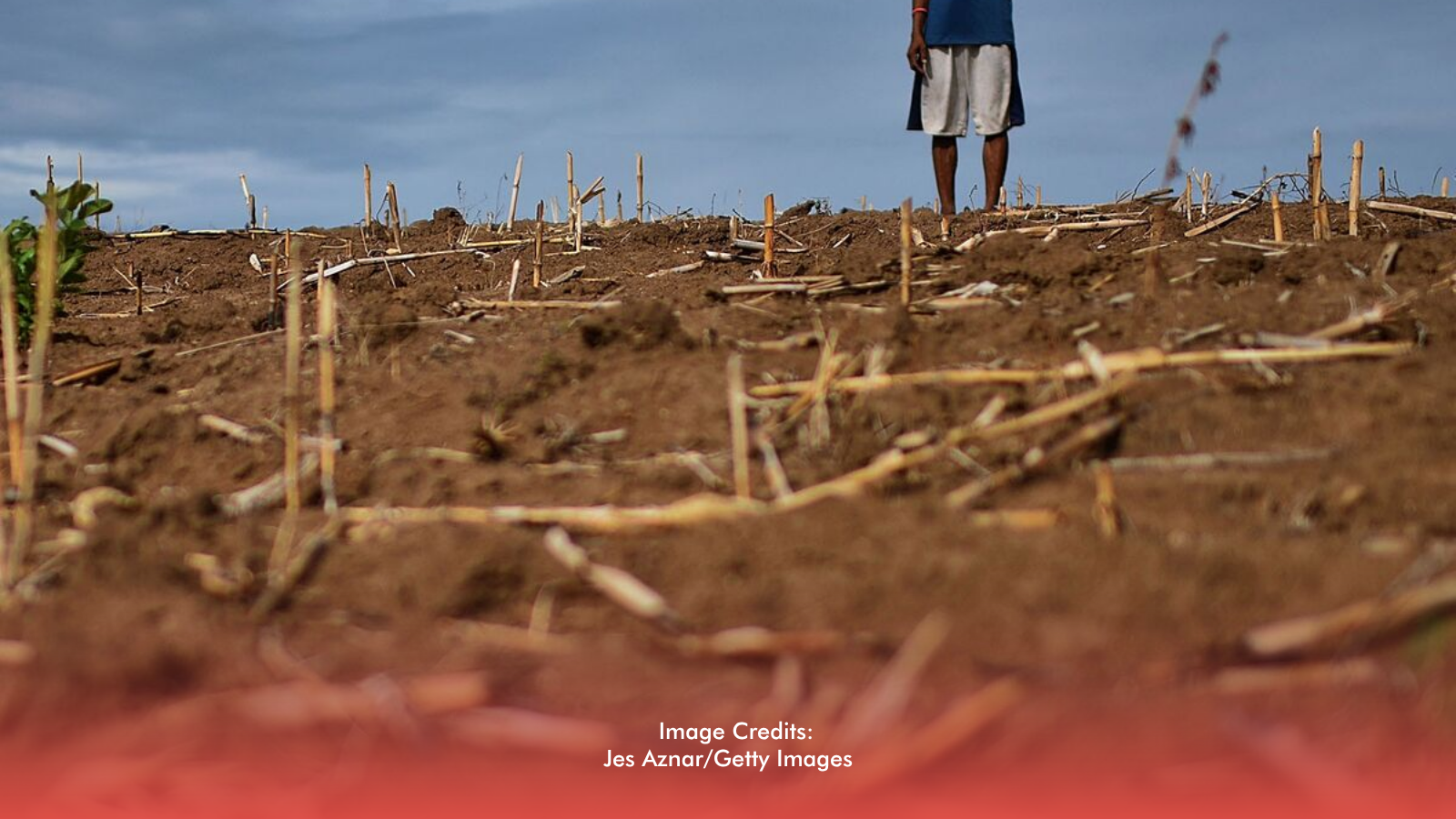 El Niño 2026: Rising Heat, Higher Costs, And What To Expect