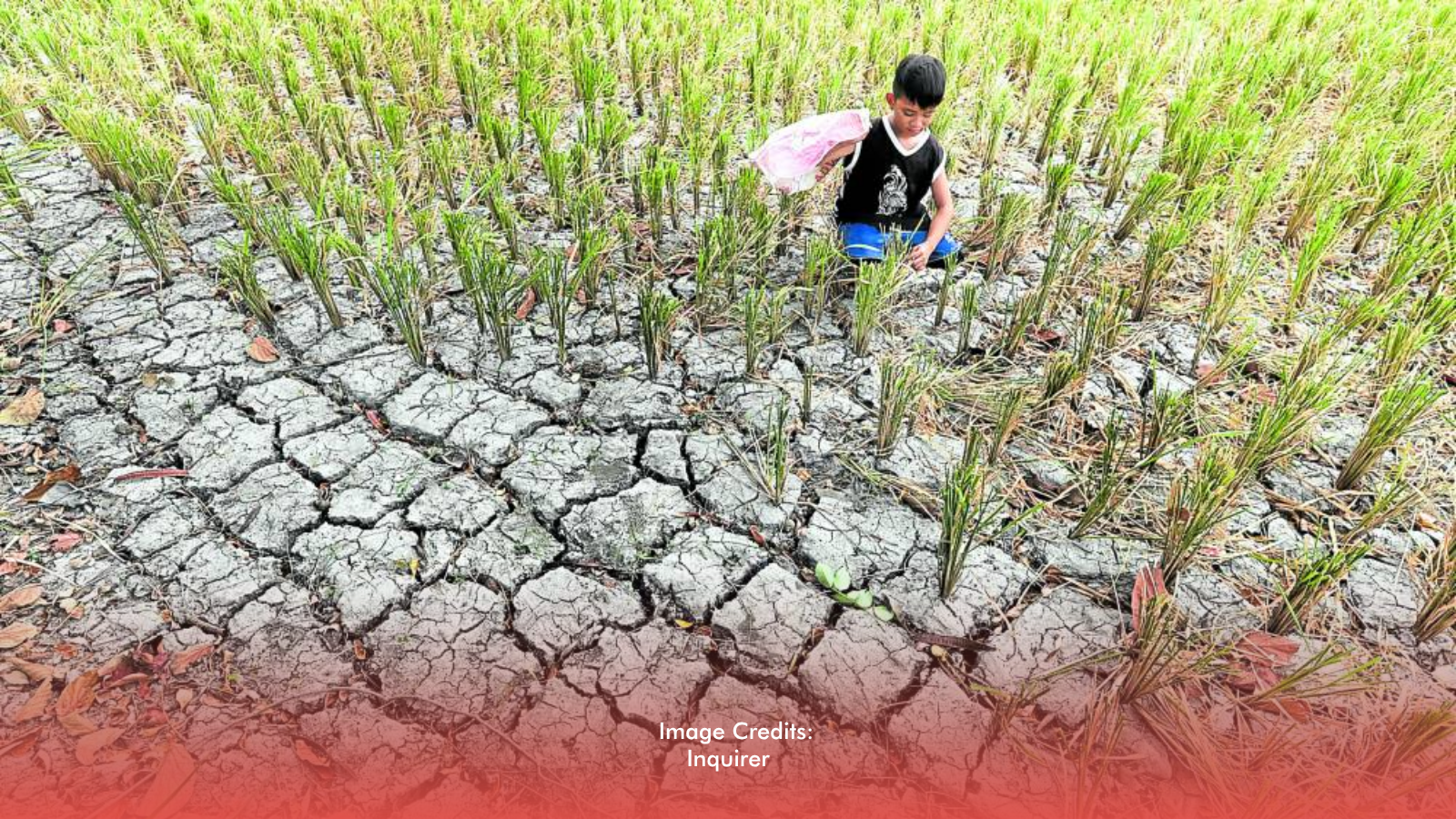 El Niño Exposes Gaps In Water Infra