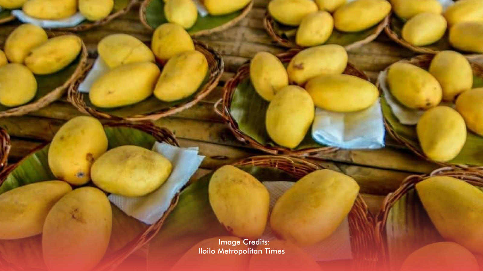 Guimaras Expands Mango Eat-All-You-Can For Surge Of Festivalgoers