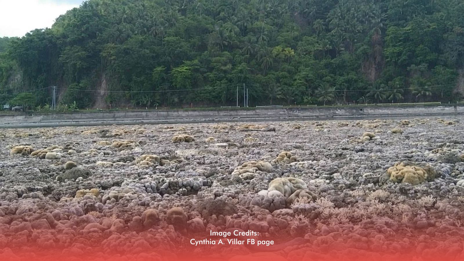 Sarangani Coastal Uplift Prompts Health And Environmental Warnings