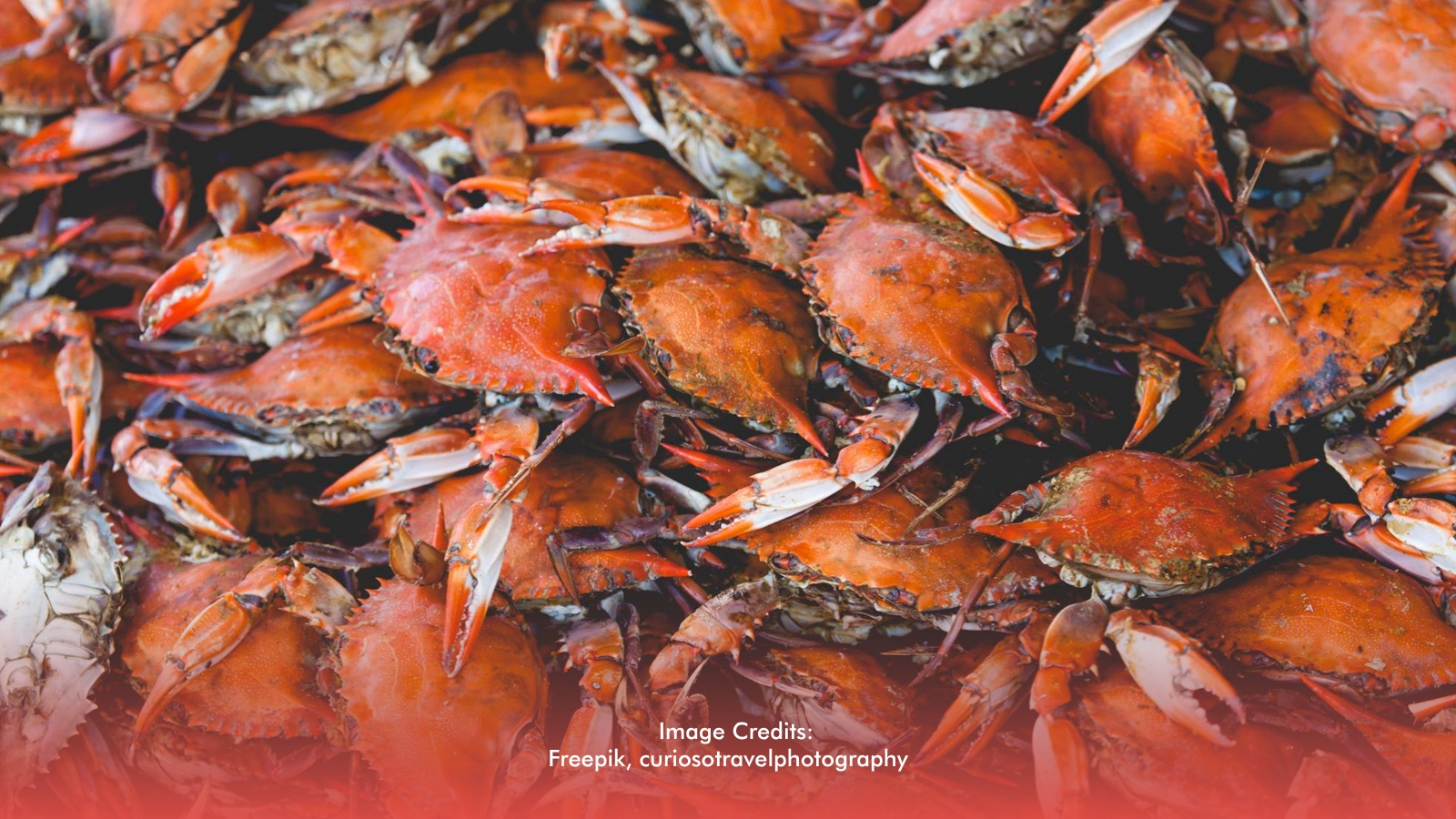 Negrenses Flock to Unli Crab Feast, 700 Kilos Sold Out
