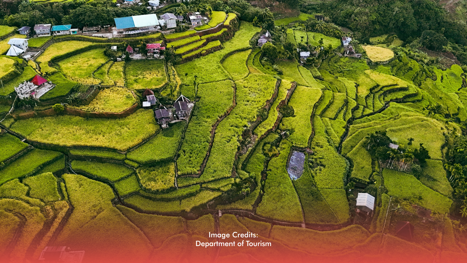 Gov’t Eyes Revamp of Ifugao Rice Terraces, Heritage Protection