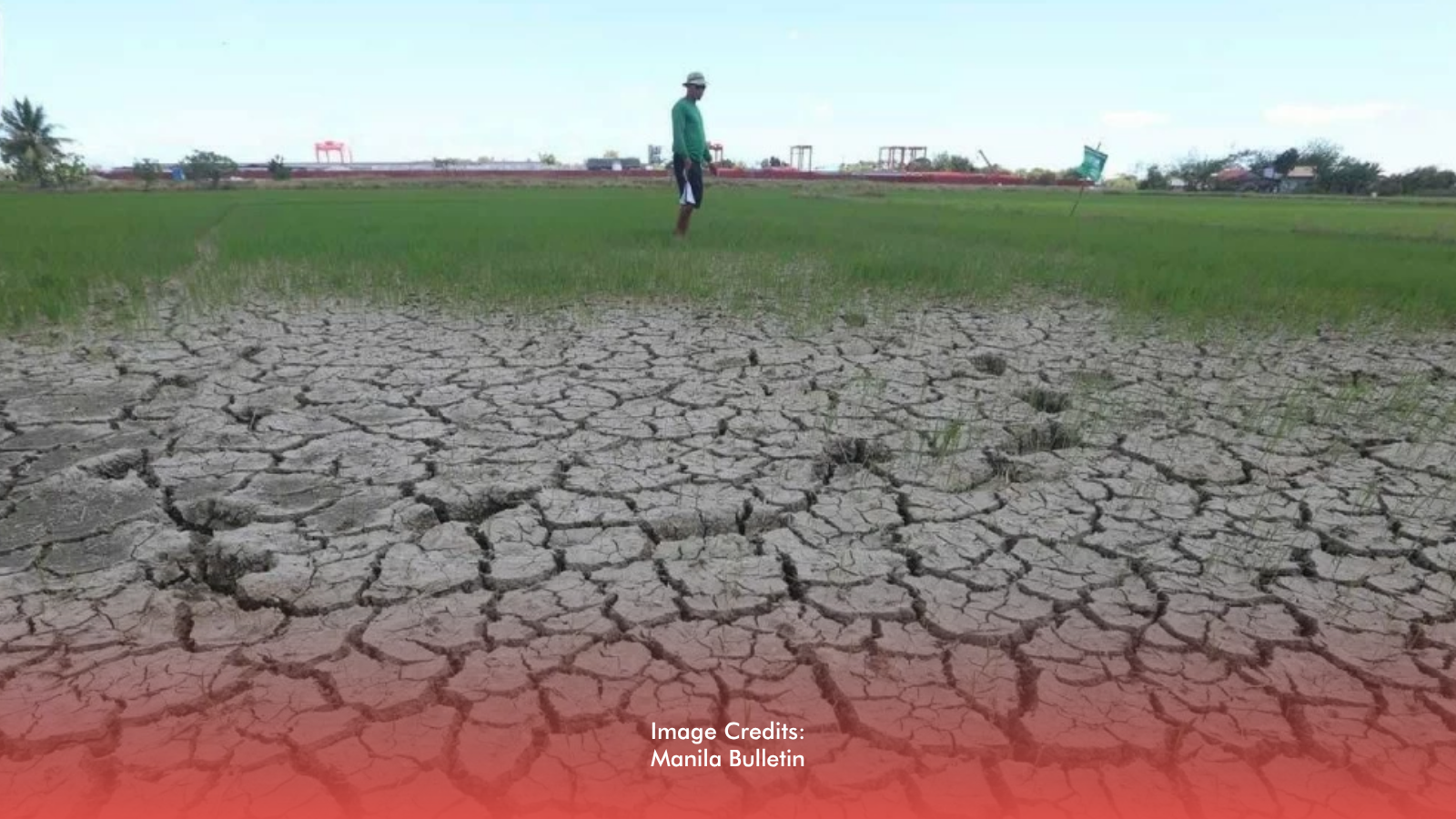 Gov’t Urged to Act Early as El Niño Threatens Water, Food Security